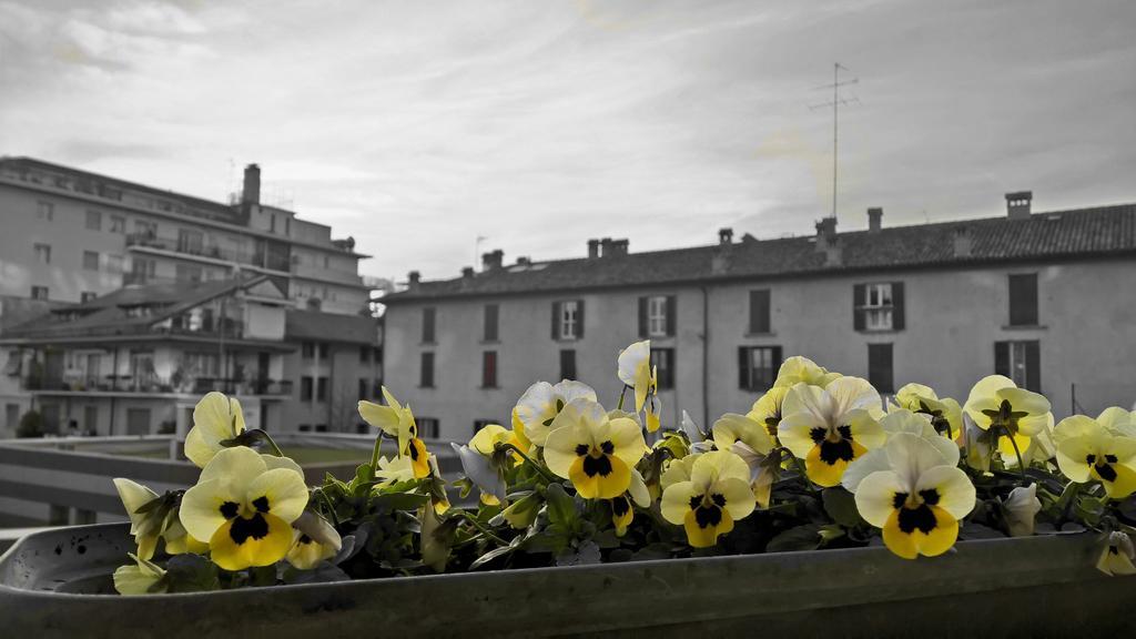 Airport Station Bergamo Hotel ภายนอก รูปภาพ